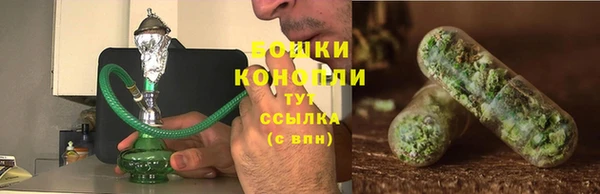 мяу мяу мука Елабуга