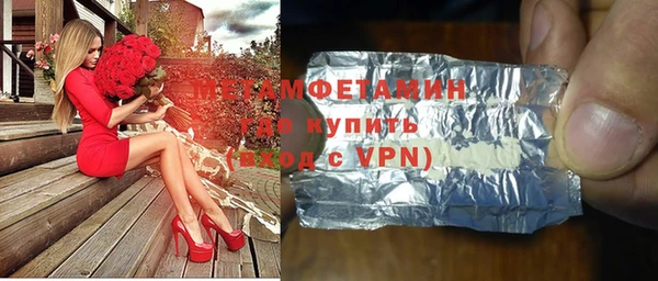 ГАЛЛЮЦИНОГЕННЫЕ ГРИБЫ Дмитриев