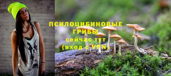мяу мяу мука Елабуга