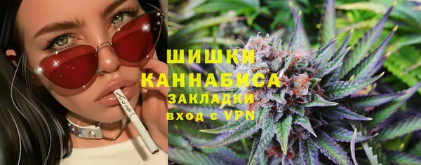 ECSTASY Елизово