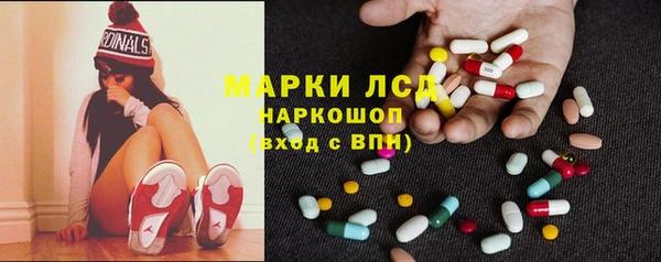 мяу мяу мука Елабуга