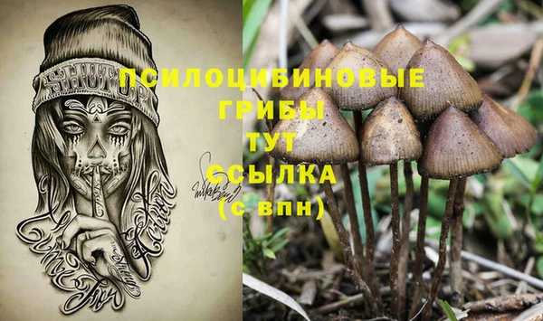 мяу мяу мука Елабуга
