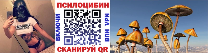 Галлюциногенные грибы Psilocybe  продажа наркотиков  Печоры 